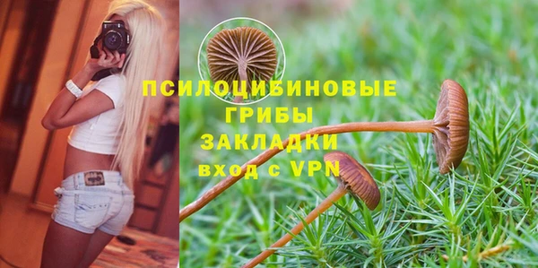 МДПВ Аркадак