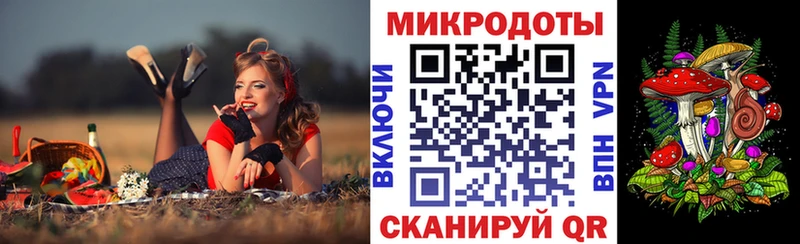 Псилоцибиновые грибы Cubensis где можно купить Туапсе